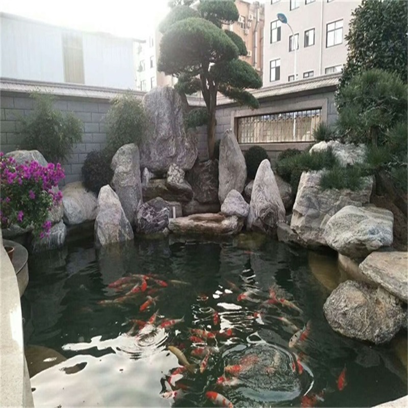 台州鱼池改造过滤方法
